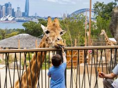 Five Affordable Family Days Out
