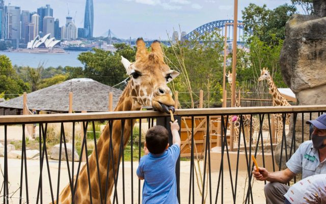 Taronga-Zoo